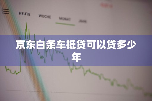 京东白条车抵贷可以贷多少年