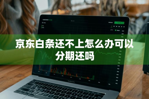 京东白条还不上怎么办可以分期还吗