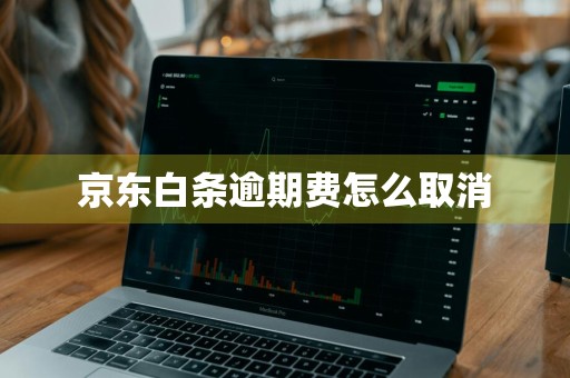 京东白条逾期费怎么取消
