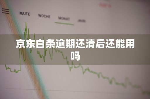 京东白条逾期还清后还能用吗