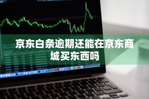 京东白条逾期还能在京东商城买东西吗