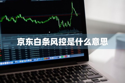 京东白条风控是什么意思