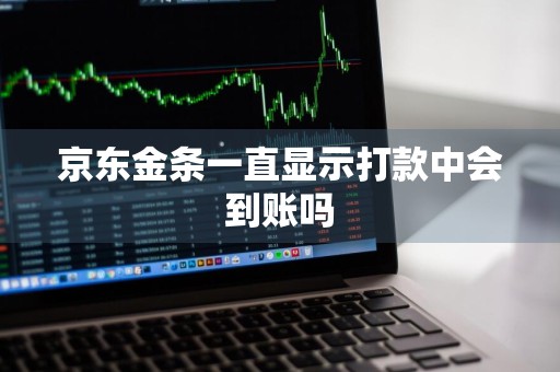 京东金条一直显示打款中会到账吗