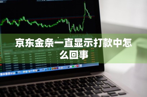京东金条一直显示打款中怎么回事