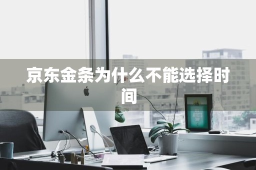 京东金条为什么不能选择时间