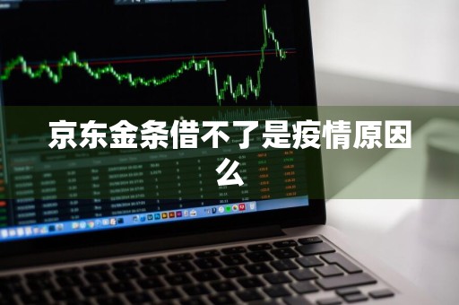 京东金条借不了是疫情原因么
