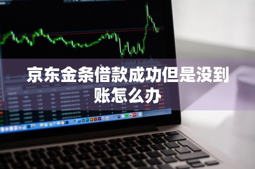 京东金条借款成功但是没到账怎么办