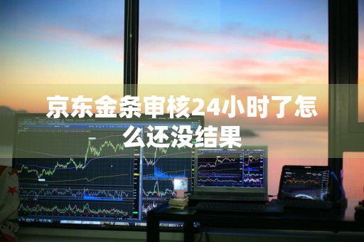 京东金条审核24小时了怎么还没结果