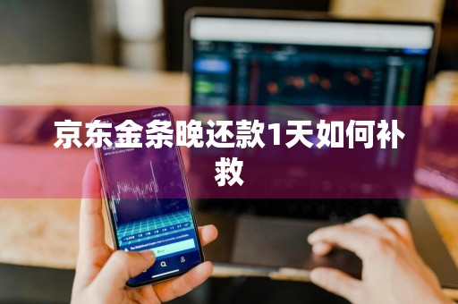 京东金条晚还款1天如何补救