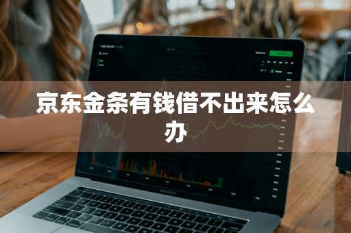 京东金条有钱借不出来怎么办