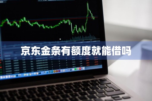 京东金条有额度就能借吗