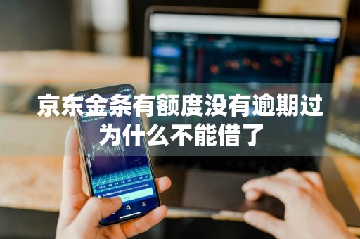 京东金条有额度没有逾期过为什么不能借了