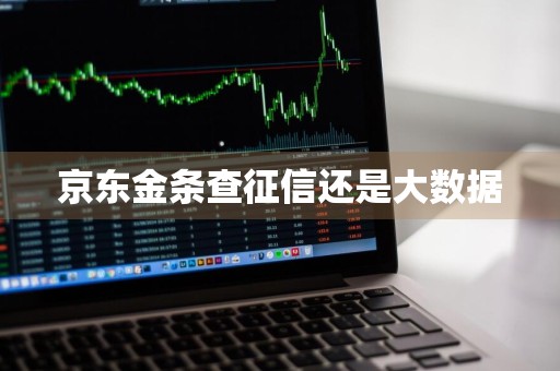 京东金条查征信还是大数据