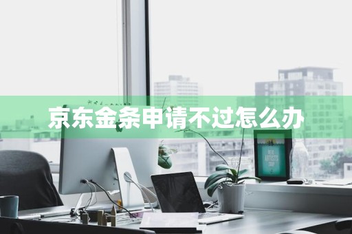 京东金条申请不过怎么办