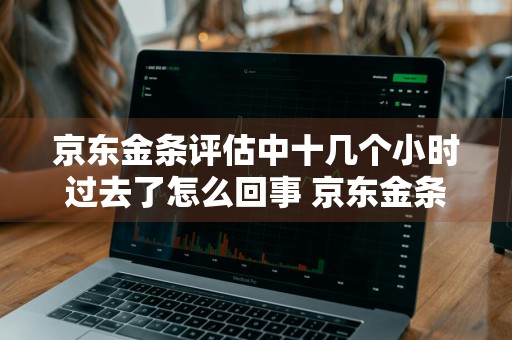 京东金条评估中十几个小时过去了怎么回事 京东金条评估中十几个小时过去了怎么回事啊
