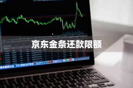 京东金条还款限额