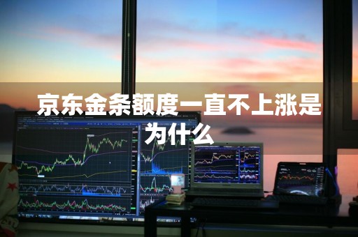 京东金条额度一直不上涨是为什么