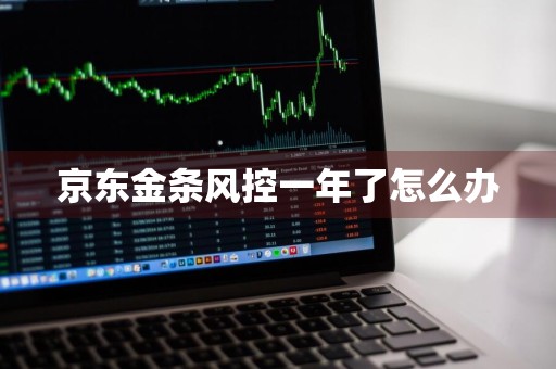 京东金条风控一年了怎么办