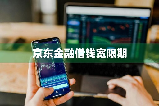 京东金融借钱宽限期