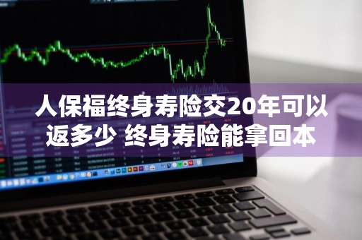 人保福终身寿险交20年可以返多少 终身寿险能拿回本金吗
