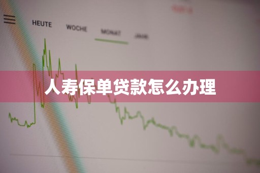 人寿保单贷款怎么办理