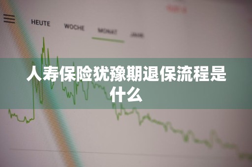 人寿保险犹豫期退保流程是什么