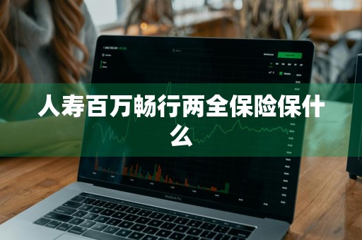 人寿百万畅行两全保险保什么