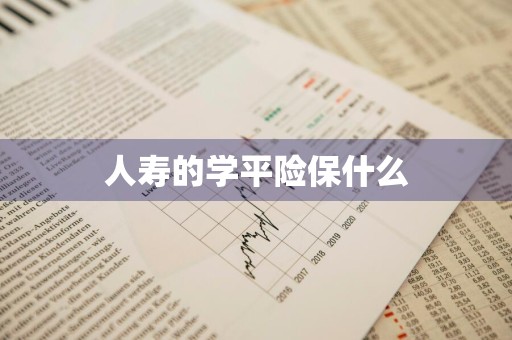 人寿的学平险保什么