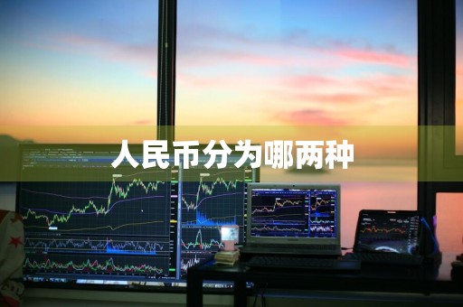 人民币分为哪两种