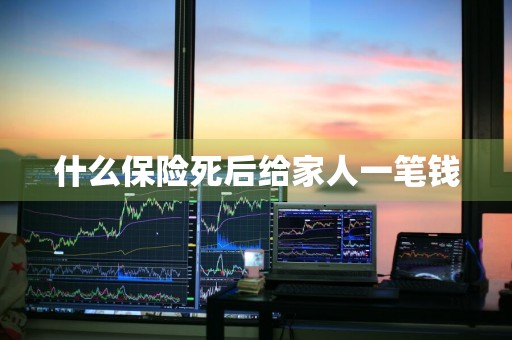 什么保险死后给家人一笔钱