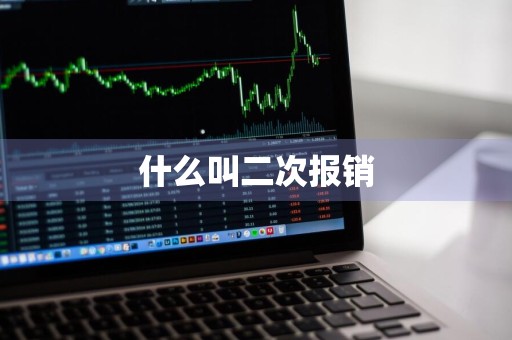 什么叫二次报销