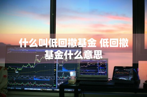 什么叫低回撤基金 低回撤基金什么意思