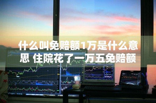 什么叫免赔额1万是什么意思 住院花了一万五免赔额1万