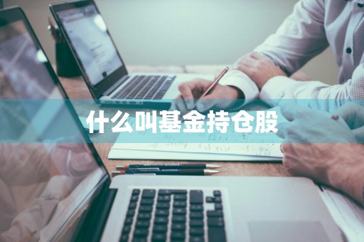 什么叫基金持仓股