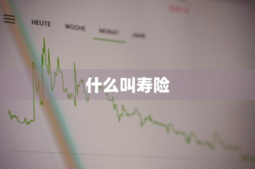 什么叫寿险