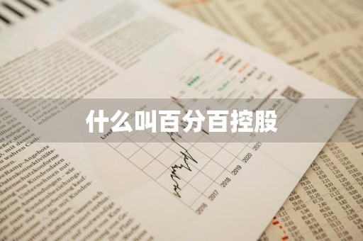 什么叫百分百控股