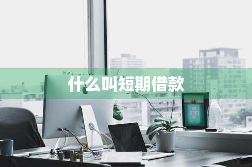 什么叫短期借款