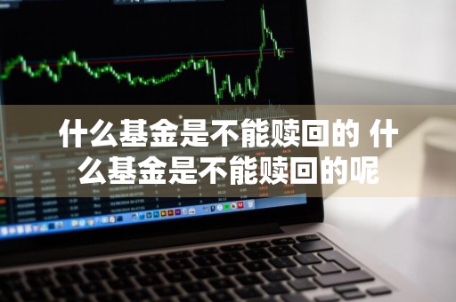 什么基金是不能赎回的 什么基金是不能赎回的呢