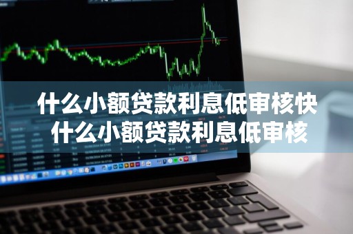 什么小额贷款利息低审核快 什么小额贷款利息低审核快一点
