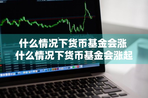什么情况下货币基金会涨 什么情况下货币基金会涨起来