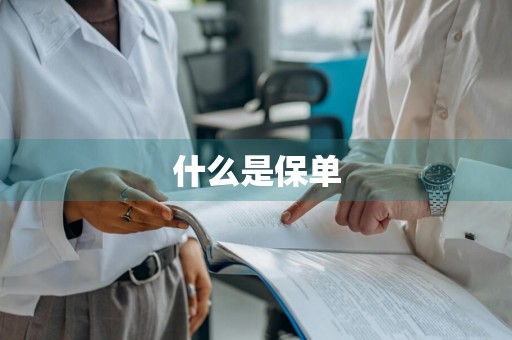 什么是保单