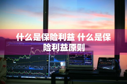 什么是保险利益 什么是保险利益原则