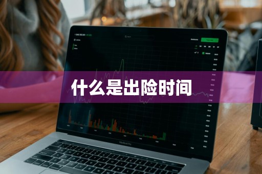 什么是出险时间