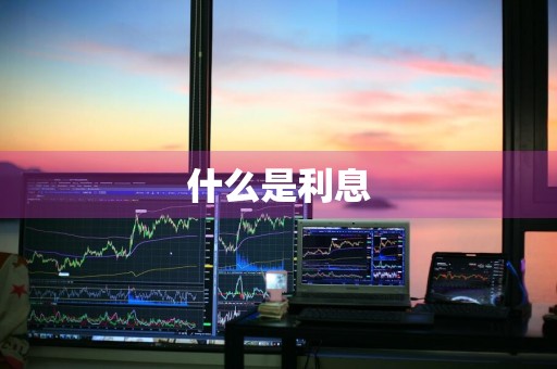 什么是利息