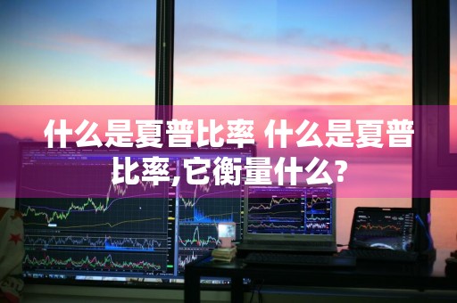 什么是夏普比率 什么是夏普比率,它衡量什么?