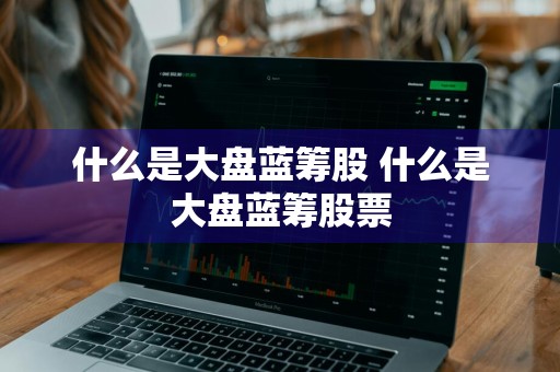 什么是大盘蓝筹股 什么是大盘蓝筹股票