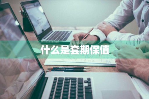 什么是套期保值