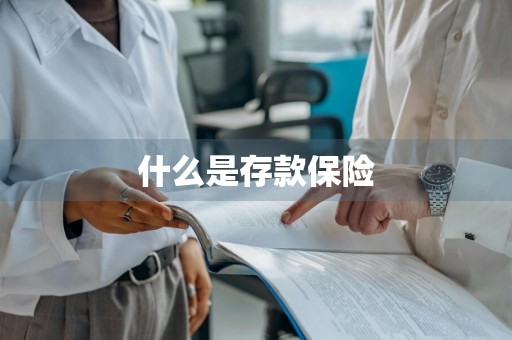 什么是存款保险