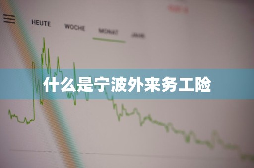 什么是宁波外来务工险