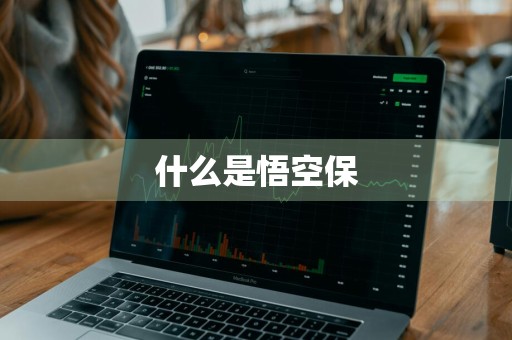 什么是悟空保